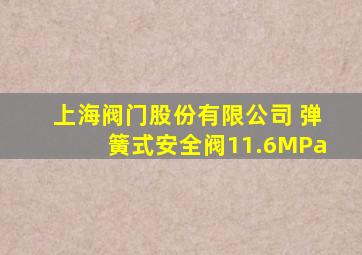 上海阀门股份有限公司 弹簧式安全阀11.6MPa